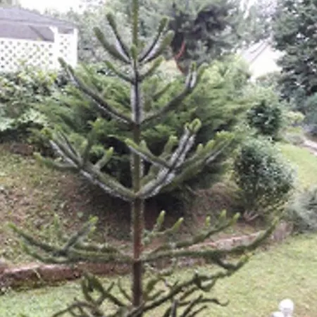 Holiday home 2 Norit Schlosser Comfortable