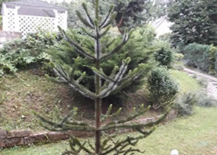 Dom wakacyjny 2 Norit Schlosser Comfortable